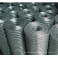 Galvanized Welded Wire Mesh Anping Factory